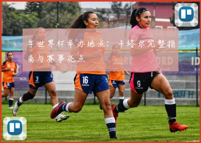 年世界杯举办地点：卡塔尔完整指南与赛事亮点